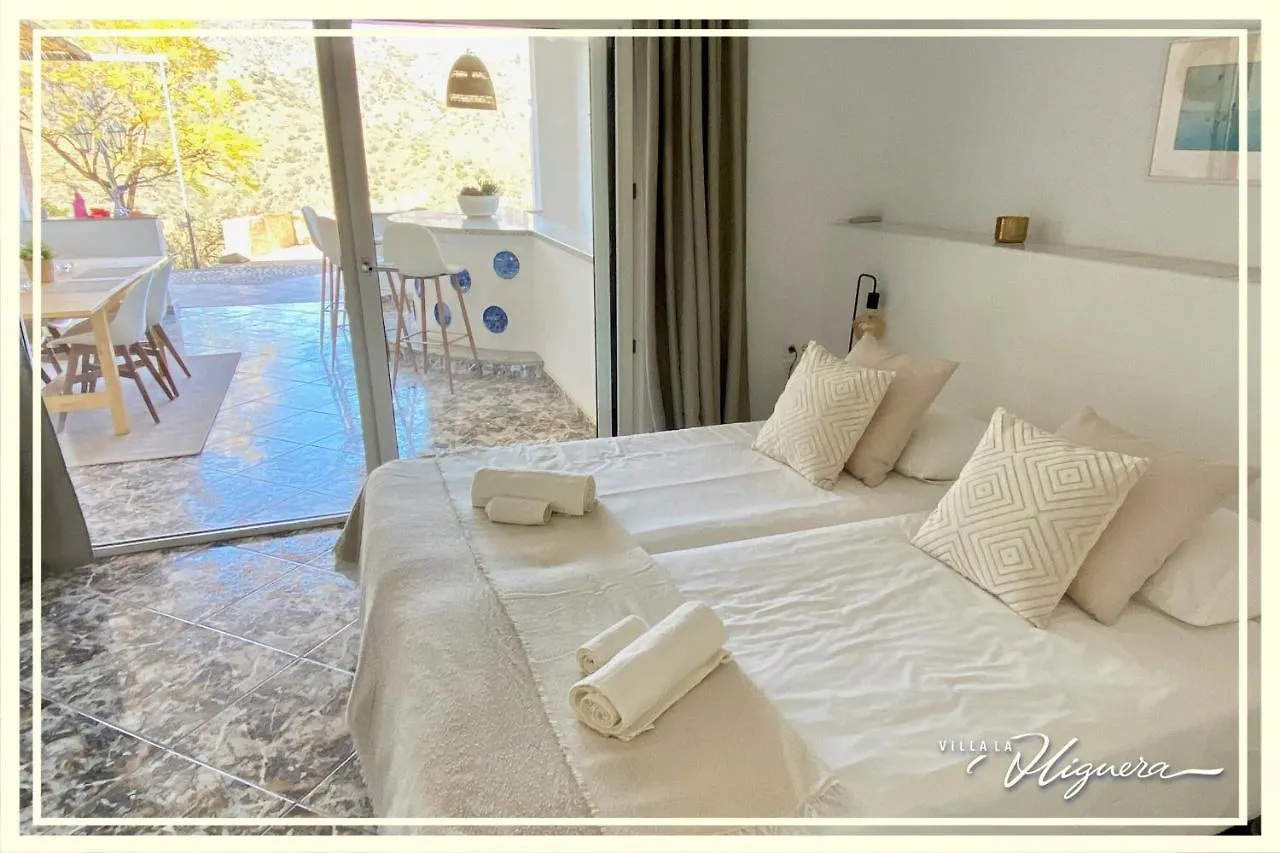 Villa La Higuera Sayalonga Spain