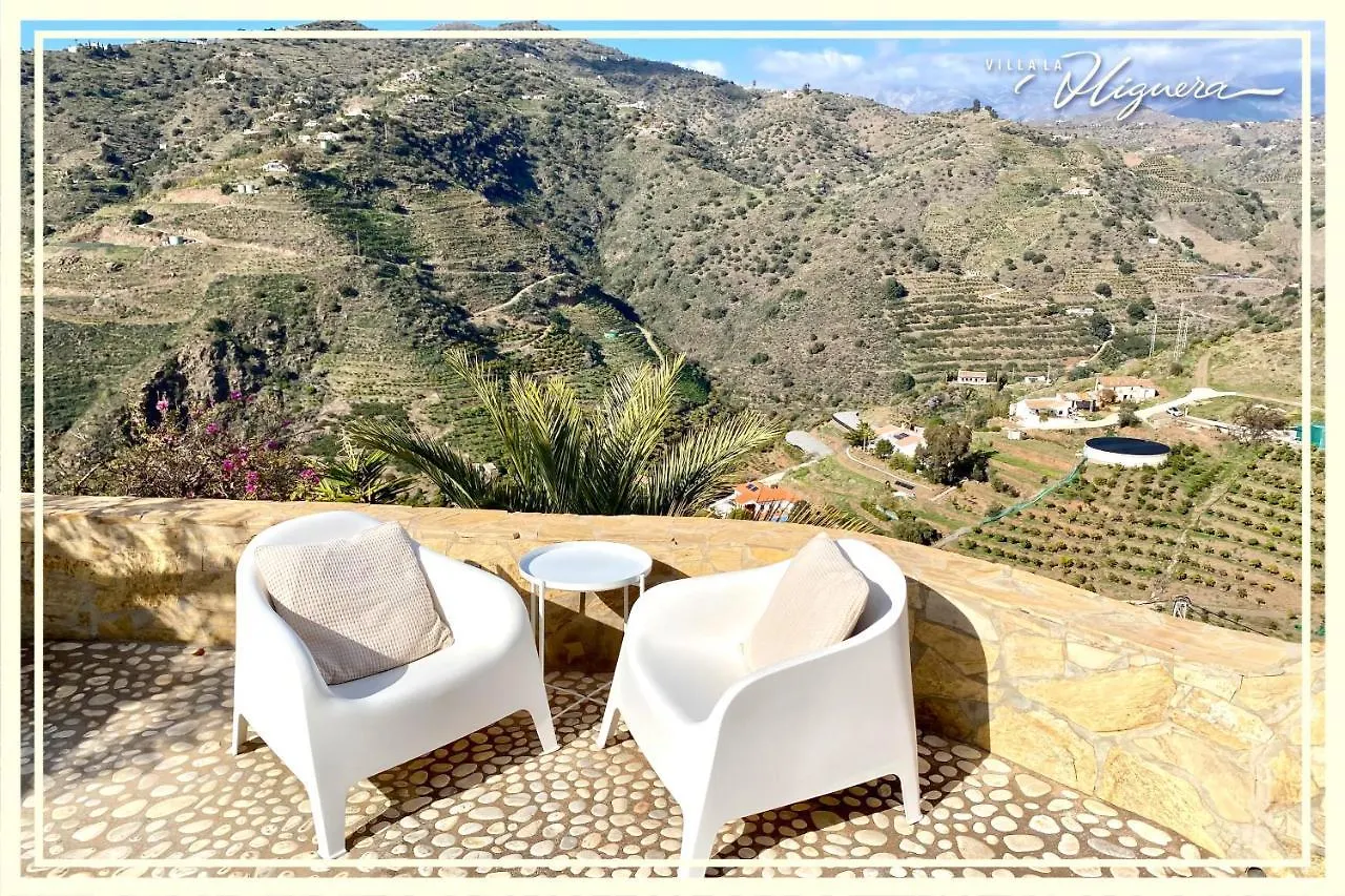 Villa La Higuera Sayalonga Spain