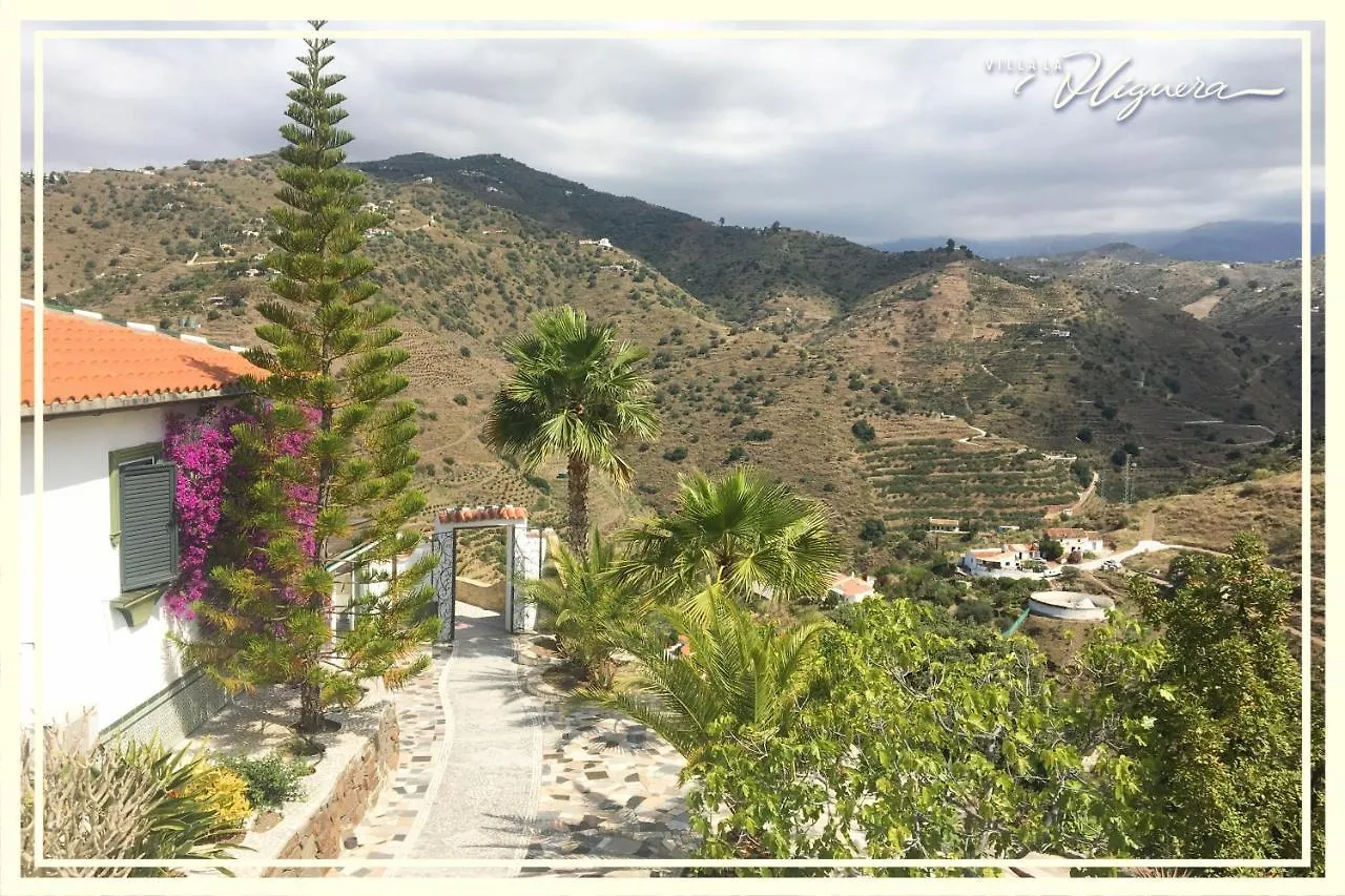 Villa La Higuera Sayalonga Ισπανία