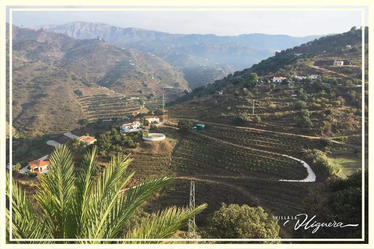 Villa La Higuera Sayalonga